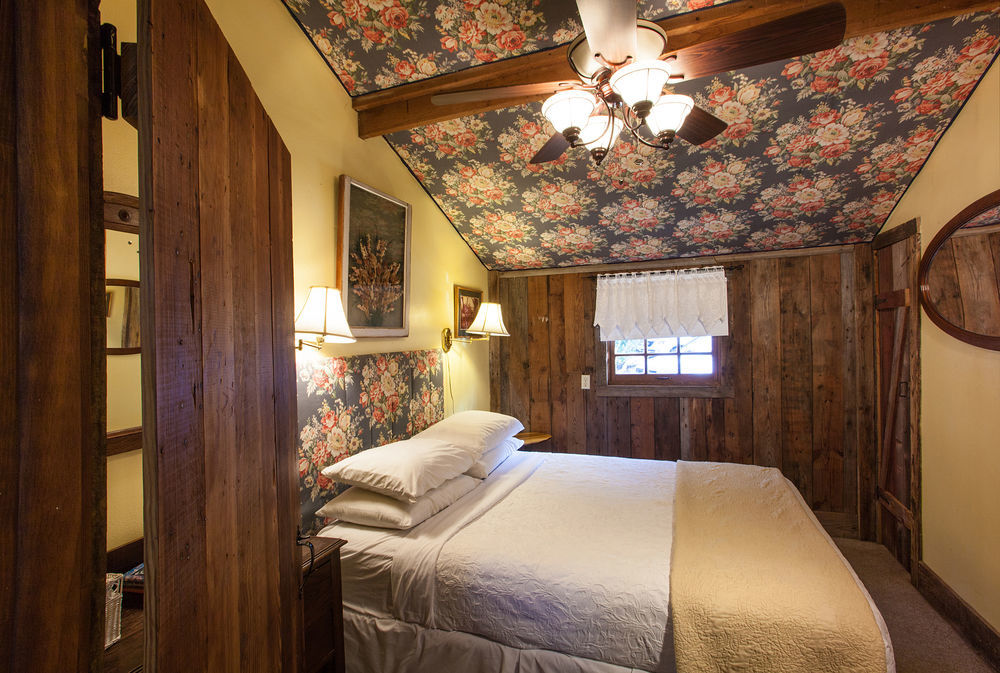 Gruene Mansion Inn New Braunfels Zewnętrze zdjęcie